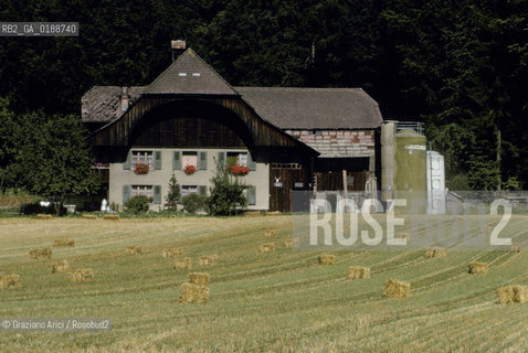 ( SVIZZERA CONFEDERAZIONE ELVETICA  ) CANTONE DI ZURIGO VALLE DELLEMMENTHAL : CASA IN LEGNO  © 1995 Graziano Arici/Rosebud2 / GEO