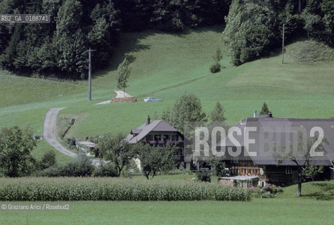 ( SVIZZERA CONFEDERAZIONE ELVETICA  ) CANTONE DI ZURIGO VALLE DELLEMMENTHAL : CASA IN LEGNO  © 1995 Graziano Arici/Rosebud2 / GEO