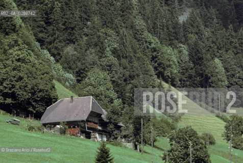 ( SVIZZERA CONFEDERAZIONE ELVETICA  ) CANTONE DI ZURIGO VALLE DELLEMMENTHAL : CASA IN LEGNO  © 1995 Graziano Arici/Rosebud2 / GEO