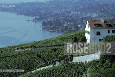 ( SVIZZERA CONFEDERAZIONE ELVETICA  )  CANTONE DI VAUD VEVEY  : VIGNETI  E LAGO DI GINEVRA © 1995 Graziano Arici/Rosebud2 / GEO / VINO