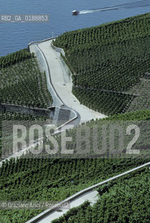 ( SVIZZERA CONFEDERAZIONE ELVETICA  )  CANTONE DI VAUD VEVEY  : VIGNETI  E LAGO DI GINEVRA © 1995 Graziano Arici/Rosebud2 / GEO / VINO