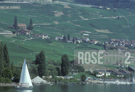 ( SVIZZERA CONFEDERAZIONE ELVETICA  )  CANTONE DI VAUD VEVEY  : VIGNETI  E LAGO DI GINEVRA © 1995 Graziano Arici/Rosebud2 / GEO / VINO