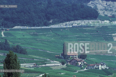 ( SVIZZERA CONFEDERAZIONE ELVETICA  )  CANTONE DI VAUD VEVEY  : VIGNETI  © 1995 Graziano Arici/Rosebud2 / GEO / VINO