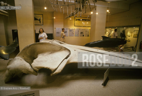 ( FRANCIA  )  PAYS BASQUE BIARRITZ : IL MUSEO DEL MARE  © 1995 Graziano Arici/Rosebud2 / GEO