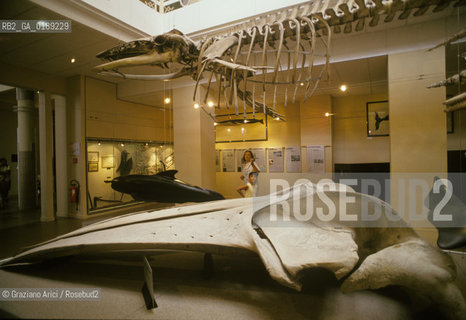 ( FRANCIA  )  PAYS BASQUE BIARRITZ : IL MUSEO DEL MARE  © 1995 Graziano Arici/Rosebud2 / GEO