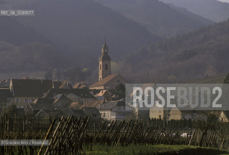 ( FRANCIA  )  ALSAZIA PANORAMA : VIGNE  © 1999 Graziano Arici/Rosebud2 / GEO