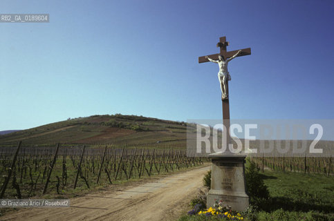 ( FRANCIA  )  ALSAZIA VIGNETI  © 1999 Graziano Arici/Rosebud2 / GEO CROCE