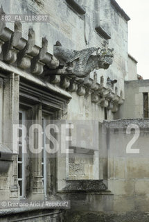 ( FRANCIA  )  PROVENCE-ALPES-COTE DAZUR ARLES : MUSEO REATTU  © 1999 Graziano Arici/Rosebud2 / GEO