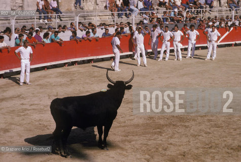 ( FRANCIA  )  PROVENCE-ALPES-COTE DAZUR ARLES : ARENA COURSE CAMARGUAISE © 1999 Graziano Arici/Rosebud2 / GEO TORO