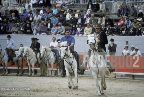 ( FRANCIA  )  PROVENCE-ALPES-COTE DAZUR ARLES : SPETTACOLO FOLKLORISTICO IN ARENA  © 1999 Graziano Arici/Rosebud2 / GEO COSTUME CAVALLO GUARDIANS