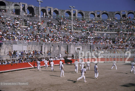 ( FRANCIA  )  PROVENCE-ALPES-COTE DAZUR ARLES : ARENA COURSE CAMARGUAISE © 1999 Graziano Arici/Rosebud2 / GEO TORO