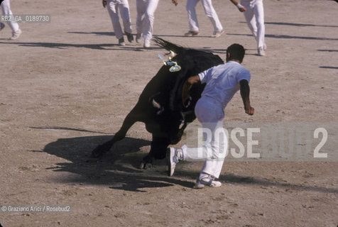 ( FRANCIA  )  PROVENCE-ALPES-COTE DAZUR ARLES : ARENA COURSE CAMARGUAISE © 1999 Graziano Arici/Rosebud2 / GEO TORO