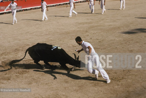 ( FRANCIA  )  PROVENCE-ALPES-COTE DAZUR ARLES : ARENA COURSE CAMARGUAISE © 1999 Graziano Arici/Rosebud2 / GEO TORO