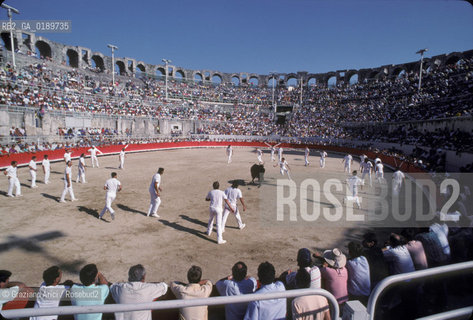 ( FRANCIA  )  PROVENCE-ALPES-COTE DAZUR ARLES : ARENA COURSE CAMARGUAISE © 1999 Graziano Arici/Rosebud2 / GEO TORO