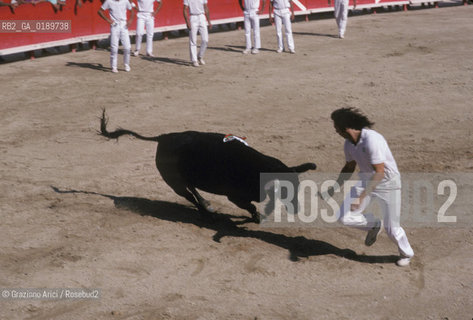 ( FRANCIA  )  PROVENCE-ALPES-COTE DAZUR ARLES : ARENA COURSE CAMARGUAISE © 1999 Graziano Arici/Rosebud2 / GEO TORO