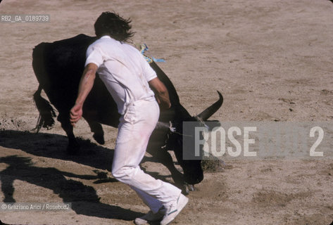 ( FRANCIA  )  PROVENCE-ALPES-COTE DAZUR ARLES : ARENA COURSE CAMARGUAISE © 1999 Graziano Arici/Rosebud2 / GEO TORO