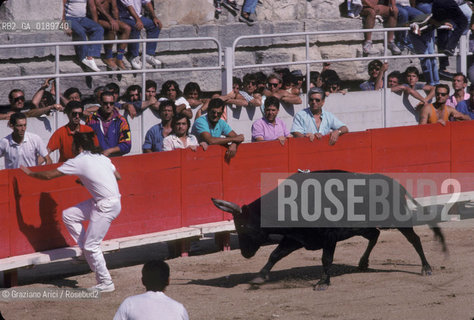 ( FRANCIA  )  PROVENCE-ALPES-COTE DAZUR ARLES : ARENA COURSE CAMARGUAISE © 1999 Graziano Arici/Rosebud2 / GEO TORO