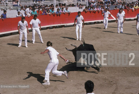 ( FRANCIA  )  PROVENCE-ALPES-COTE DAZUR ARLES : ARENA COURSE CAMARGUAISE © 1999 Graziano Arici/Rosebud2 / GEO TORO