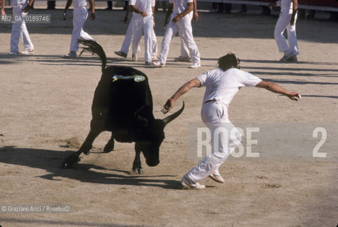 ( FRANCIA  )  PROVENCE-ALPES-COTE DAZUR ARLES : ARENA COURSE CAMARGUAISE © 1999 Graziano Arici/Rosebud2 / GEO TORO