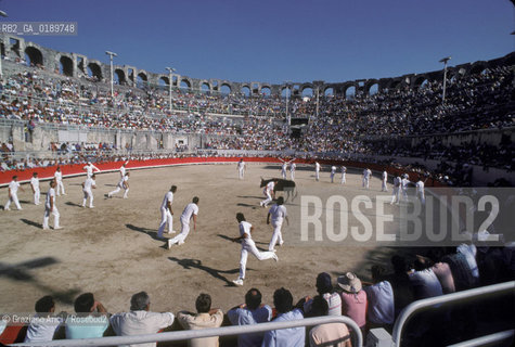 ( FRANCIA  )  PROVENCE-ALPES-COTE DAZUR ARLES : ARENA COURSE CAMARGUAISE © 1999 Graziano Arici/Rosebud2 / GEO TORO