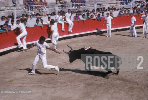 ( FRANCIA  )  PROVENCE-ALPES-COTE DAZUR ARLES : ARENA COURSE CAMARGUAISE © 1999 Graziano Arici/Rosebud2 / GEO TORO