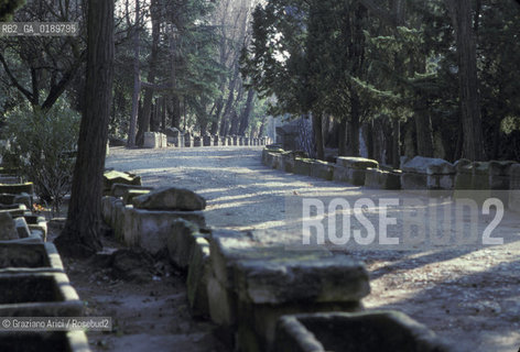 ( FRANCIA  )  PROVENCE-ALPES-COTE DAZUR ARLES : LA NECROPOLI DEGLI ALYSCAMPS  © 1999 Graziano Arici/Rosebud2 / GEO CIMITERO VAN GOGH ARTE PITTORE