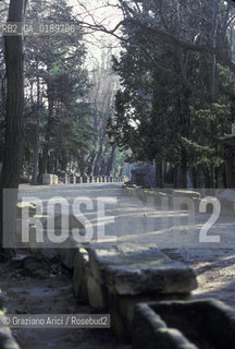 ( FRANCIA  )  PROVENCE-ALPES-COTE DAZUR ARLES : LA NECROPOLI DEGLI ALYSCAMPS  © 1999 Graziano Arici/Rosebud2 / GEO CIMITERO VAN GOGH ARTE PITTORE