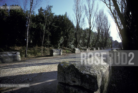 ( FRANCIA  )  PROVENCE-ALPES-COTE DAZUR ARLES : LA NECROPOLI DEGLI ALYSCAMPS  © 1999 Graziano Arici/Rosebud2 / GEO CIMITERO VAN GOGH ARTE PITTORE
