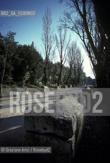 ( FRANCIA  )  PROVENCE-ALPES-COTE DAZUR ARLES : LA NECROPOLI DEGLI ALYSCAMPS  © 1999 Graziano Arici/Rosebud2 / GEO CIMITERO