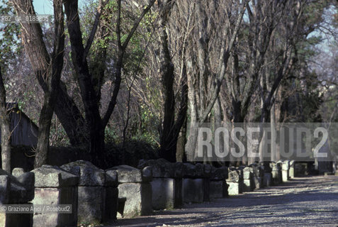 ( FRANCIA  )  PROVENCE-ALPES-COTE DAZUR ARLES : LA NECROPOLI DEGLI ALYSCAMPS  © 1999 Graziano Arici/Rosebud2 / GEO CIMITERO