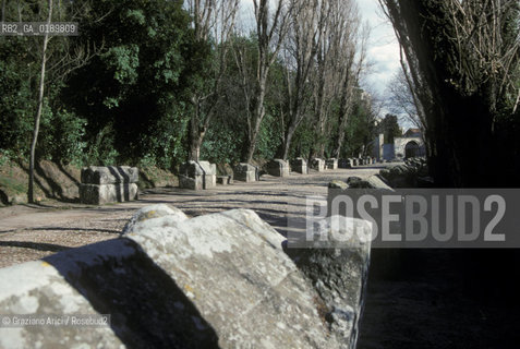 ( FRANCIA  )  PROVENCE-ALPES-COTE DAZUR ARLES : LA NECROPOLI DEGLI ALYSCAMPS  © 1999 Graziano Arici/Rosebud2 / GEO CIMITERO