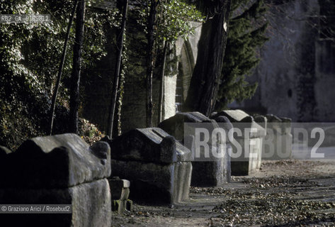 ( FRANCIA  )  PROVENCE-ALPES-COTE DAZUR ARLES : LA NECROPOLI DEGLI ALYSCAMPS  © 1999 Graziano Arici/Rosebud2 / GEO CIMITERO