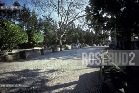 ( FRANCIA  )  PROVENCE-ALPES-COTE DAZUR ARLES : LA NECROPOLI DEGLI ALYSCAMPS  © 1999 Graziano Arici/Rosebud2 / GEO CIMITERO