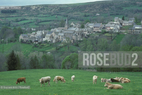 ( FRANCIA  )  MIDI-PYRENEES  ALTIPIANO DELLAUBRAC  © 1999 Graziano Arici/Rosebud2 / GEO