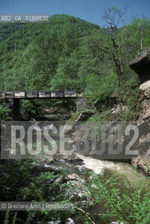 ( FRANCIA  )  MIDI-PYRENEES  ALTIPIANO DELLAUBRAC  © 1999 Graziano Arici/Rosebud2 / GEO TORRENTE PONTE