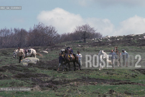 ( FRANCIA  )  MIDI-PYRENEES  ALTIPIANO DELLAUBRAC  © 1999 Graziano Arici/Rosebud2 / GEO CAVALLI