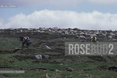 ( FRANCIA  )  MIDI-PYRENEES  ALTIPIANO DELLAUBRAC  © 1999 Graziano Arici/Rosebud2 / GEO CAVALLI