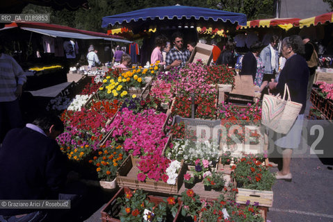 ( FRANCIA  )  MIDI-PYRENEES  ALTIPIANO DELLAUBRAC ESTAING : FIORISTA  © 1999 Graziano Arici/Rosebud2 / GEO