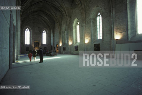 ( FRANCIA  )  PROVENCE-ALPES-COTE DAZUR AVIGNONE : IL PALAZZO DEI PAPI © 1999 Graziano Arici/Rosebud2 / GEO