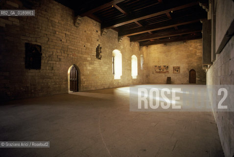 ( FRANCIA  )  PROVENCE-ALPES-COTE DAZUR AVIGNONE : IL PALAZZO DEI PAPI © 1999 Graziano Arici/Rosebud2 / GEO