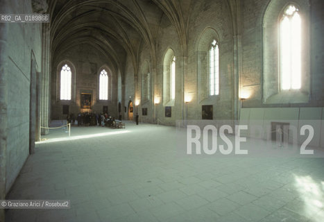 ( FRANCIA  )  PROVENCE-ALPES-COTE DAZUR AVIGNONE : IL PALAZZO DEI PAPI © 1999 Graziano Arici/Rosebud2 / GEO