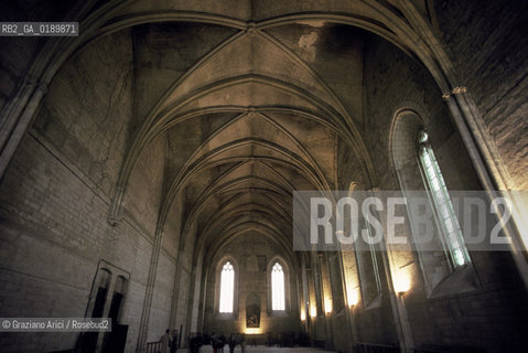 ( FRANCIA  )  PROVENCE-ALPES-COTE DAZUR AVIGNONE : IL PALAZZO DEI PAPI © 1999 Graziano Arici/Rosebud2 / GEO