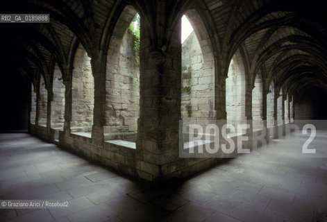 ( FRANCIA  )  PROVENCE-ALPES-COTE DAZUR VILLENEUVE-LES-AVIGNON : LA CERTOSA DI VAL-DE-BENEDICTION © 1999 Graziano Arici/Rosebud2 / GEO