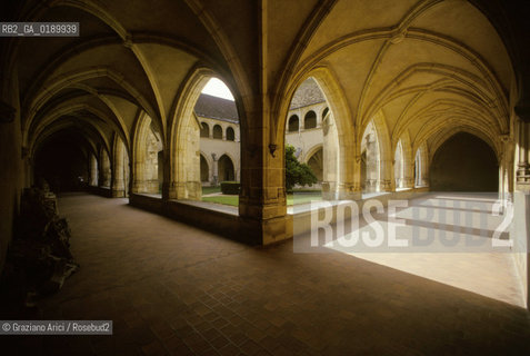 ( FRANCIA  )  RHONE-ALPES  BOURG-EN-BRESSE : CHIESA DI BROU CHIOSTRO © 1999 Graziano Arici/Rosebud2 / GEO ARCHITETTURA GOTICO-FIAMMEGGIANTE