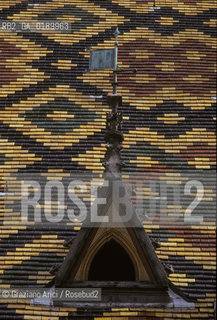 ( FRANCIA  )  BORGOGNA  BEAUNE : HOTEL-DIEU © 1999 Graziano Arici/Rosebud2 / GEO OSPEDALE ARCHITETTURA FIAMMINGA TETTO FINESTRA