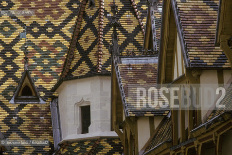 ( FRANCIA  )  BORGOGNA  BEAUNE : HOTEL-DIEU © 1999 Graziano Arici/Rosebud2 / GEO OSPEDALE ARCHITETTURA FIAMMINGA TETTO
