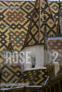 ( FRANCIA  )  BORGOGNA  BEAUNE : HOTEL-DIEU © 1999 Graziano Arici/Rosebud2 / GEO OSPEDALE ARCHITETTURA FIAMMINGA TETTO