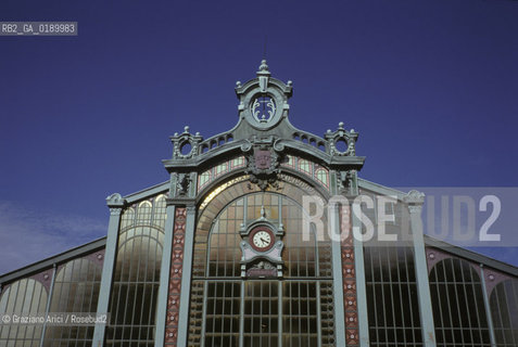 ( FRANCIA  )  FRANCHE-COMTE  BELFORT : IL MERCATO COPERTO © 1999 Graziano Arici/Rosebud2 / GEO ARCHEOLOGIA INDUSTRALE FERRO