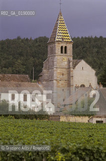 ( FRANCIA  )  BORGOGNA  PAESAGGIO CON VIGNE © 1999 Graziano Arici/Rosebud2 / GEO VINO