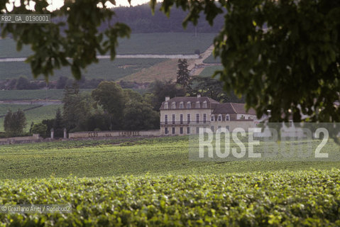 ( FRANCIA  )  BORGOGNA  PAESAGGIO CON VIGNE © 1999 Graziano Arici/Rosebud2 / GEO VINO